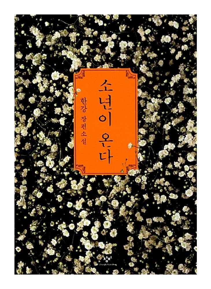 Amazon.com: Korean Books, Korean Novel/이탈리아 말라파르테